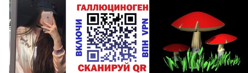 где купить наркоту  Мамоново  Галлюциногенные грибы Cubensis 